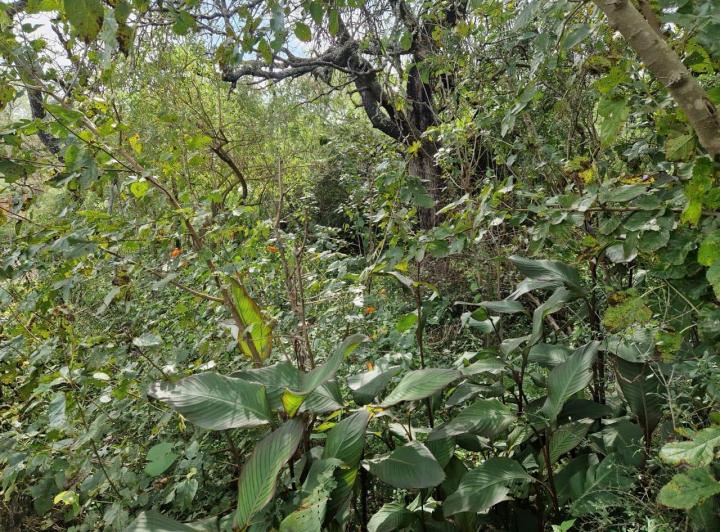 Terreno en La Aguadita, Villa de Las Rosas — Terreno La Aguadita - Villa de Las Rosas Traslasierra!! — Venta, foto 8 de 8