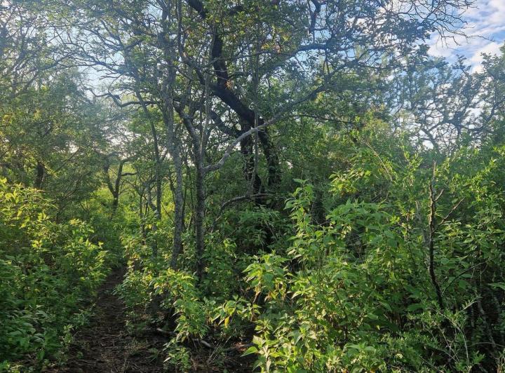 Lote en La Paz — Terreno Cerca del Centro en La Paz, Traslasierra!!! — Venta, foto 2 de 8