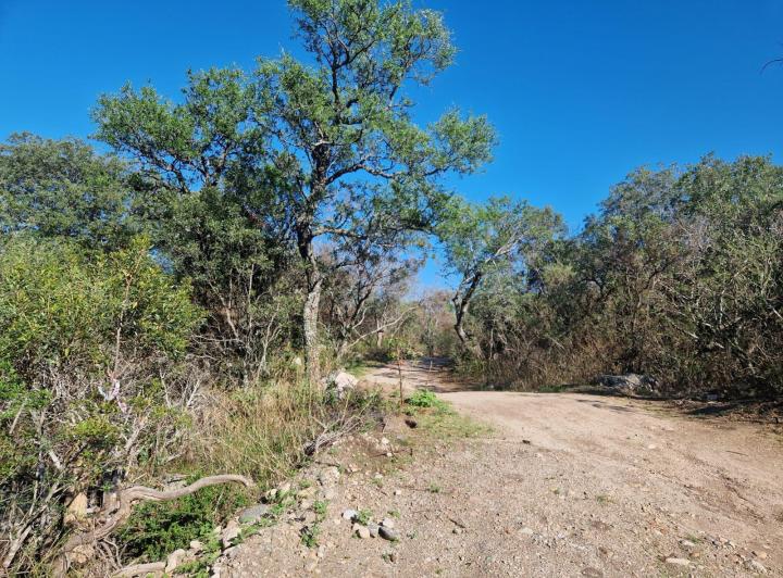 Lote en Las Chacras, Villa de Las Rosas — Terrenos Bellos, Hermosos!! EN LAS Chacras DE Villa DE LAS Rosas !! Traslasierra!! — Venta, foto 2 de 8