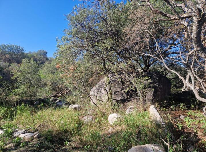 Lote en Las Chacras, Villa de Las Rosas — Terrenos Bellos, Hermosos!! EN LAS Chacras DE Villa DE LAS Rosas !! Traslasierra!! — Venta, foto 4 de 8