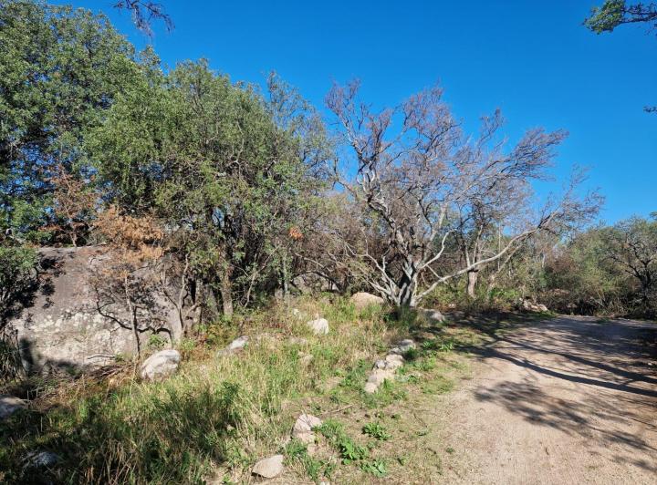 Lote en Las Chacras, Villa de Las Rosas — Terrenos Bellos, Hermosos!! EN LAS Chacras DE Villa DE LAS Rosas !! Traslasierra!! — Venta, foto 6 de 8