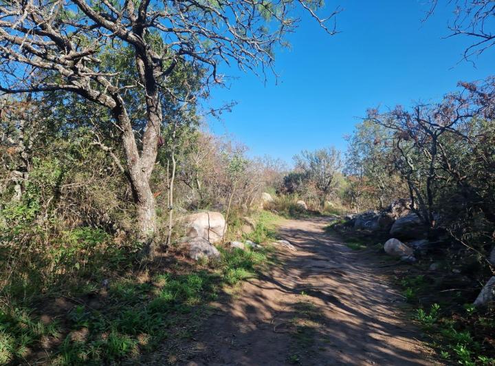 Lote en Las Chacras, Villa de Las Rosas — Terrenos Bellos, Hermosos!! EN LAS Chacras DE Villa DE LAS Rosas !! Traslasierra!! — Venta, foto 8 de 8
