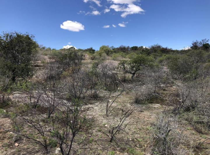 Campo en Mina Clavero — Campo en Venta Mina Clavero 9 ,3 Has Traslasierra!! ,,con Titulo, Bellisimo!!! — Venta, foto 8 de 8