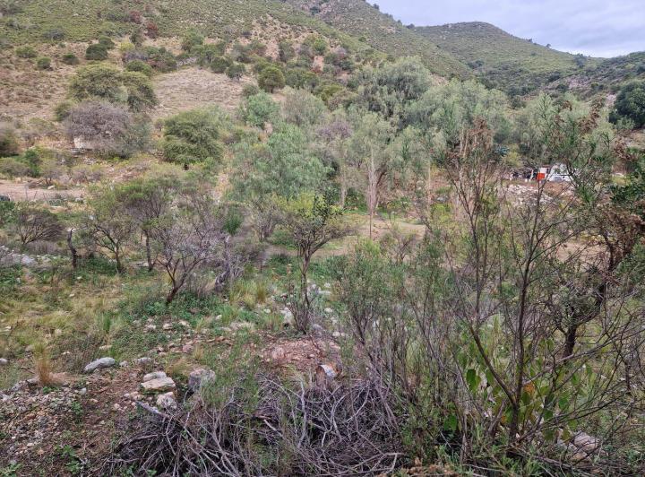Lote en Los Hornillos — Terreno Muy Bonito de 5.200 m2 en Los Hornillos, Traslasierra!! — Venta, foto 2 de 8