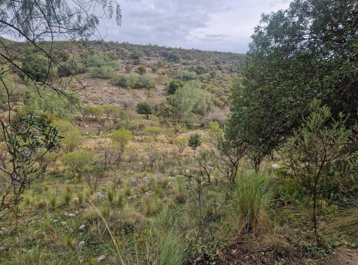 Lote en Los Hornillos — Terreno Muy Bonito de 5.200 m2 en Los Hornillos, Traslasierra!! — Venta, foto 3 de 8