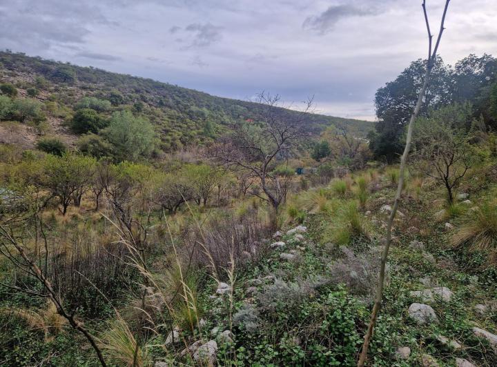 Lote en Los Hornillos — Terreno Muy Bonito de 5.200 m2 en Los Hornillos, Traslasierra!! — Venta, foto 5 de 8