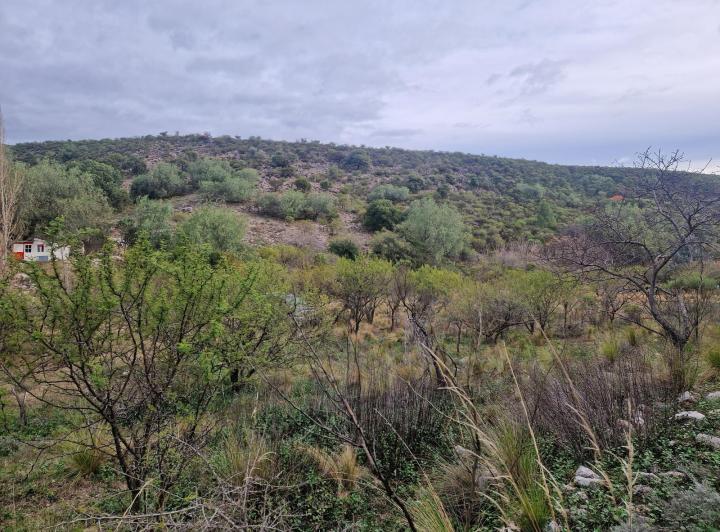 Lote en Los Hornillos — Terreno Muy Bonito de 5.200 m2 en Los Hornillos, Traslasierra!! — Venta, foto 6 de 8
