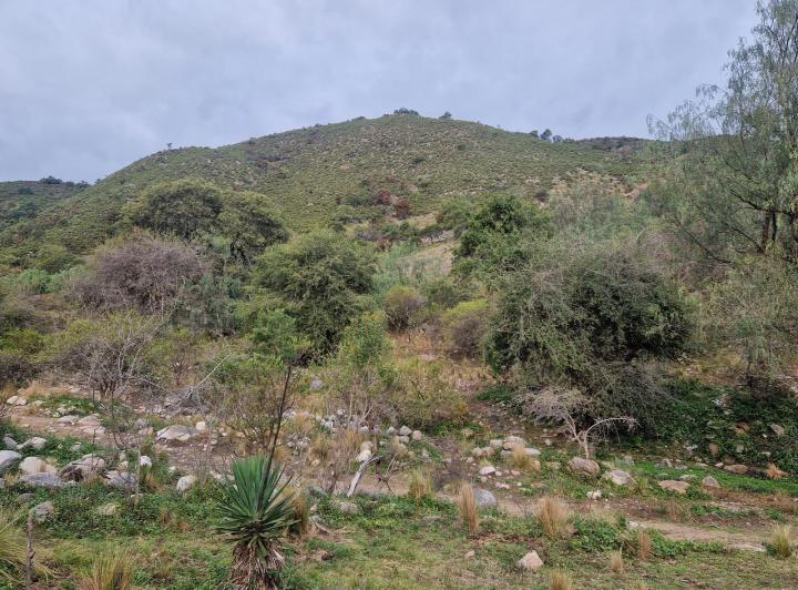 Lote en Los Hornillos — Terreno Muy Bonito de 5.200 m2 en Los Hornillos, Traslasierra!! — Venta, foto 7 de 8