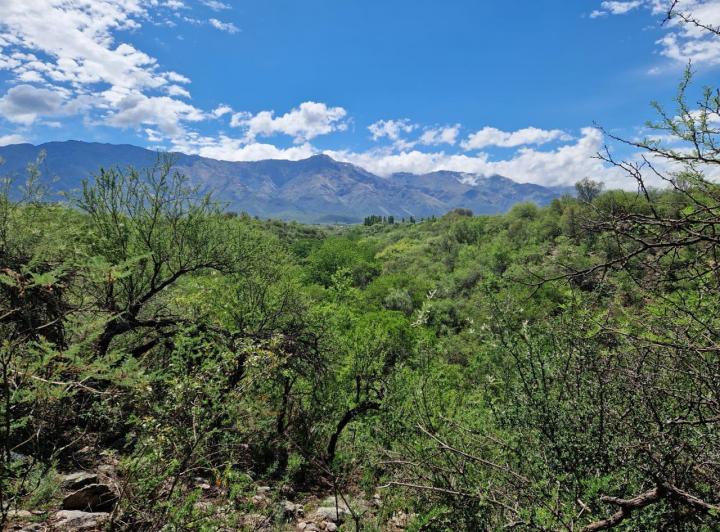 Terreno en Achiras — Terreno EN Achiras Arriba!! Espectacular Vista DE Traslasierra — Venta, foto 2 de 8