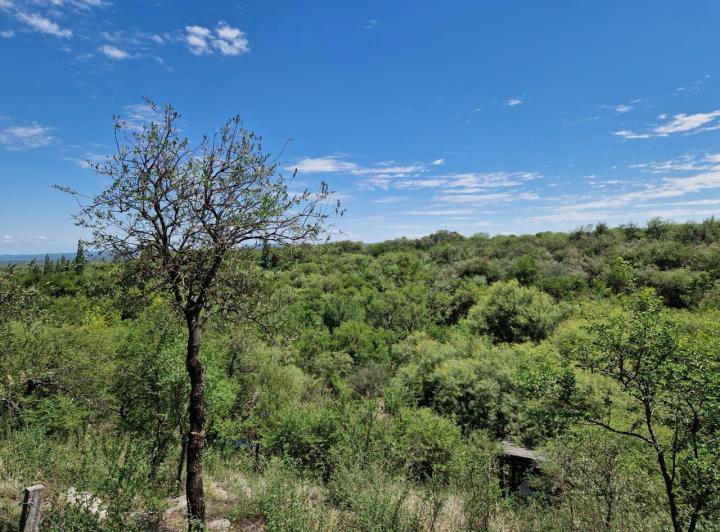 Terreno en Achiras — Terreno EN Achiras Arriba!! Espectacular Vista DE Traslasierra — Venta, foto 4 de 8