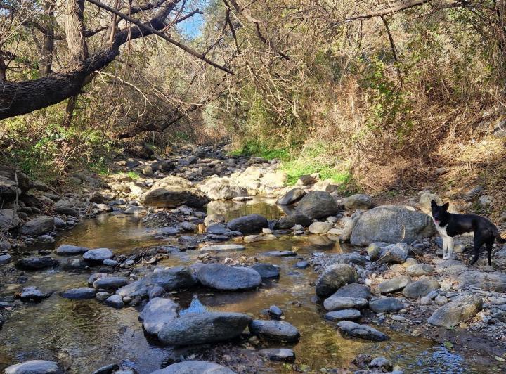 Terreno en Yacanto — Se Vende Terreno con Costa de Arroyo en Yacanto, Traslasierra!! — Venta, foto 1 de 8