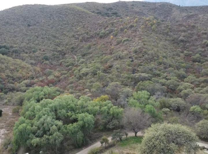 Campo en Loma Bola — Campo de 8 Hectareas en Venta en Loma Bola, Traslasierra!! — Venta, foto 1 de 8