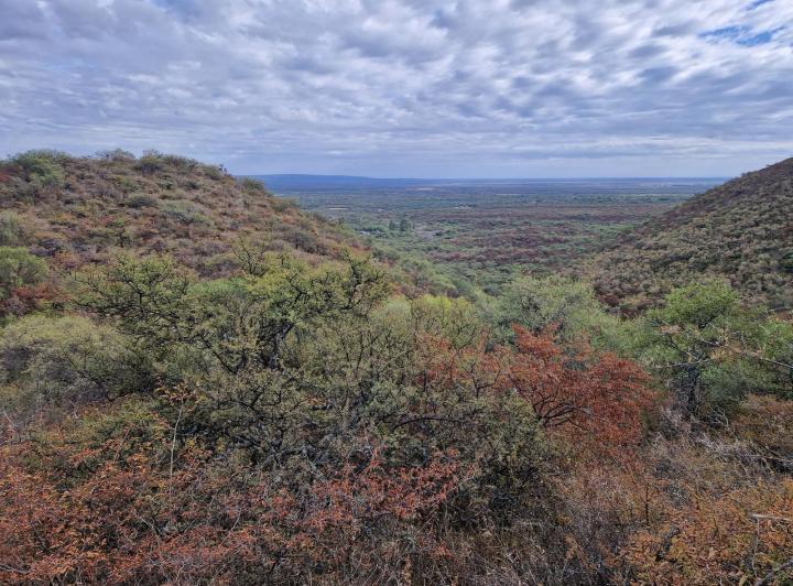 Campo en Loma Bola — Campo de 8 Hectareas en Venta en Loma Bola, Traslasierra!! — Venta, foto 2 de 8