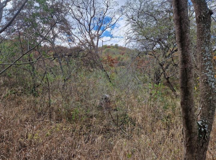 Campo en Loma Bola — Campo de 8 Hectareas en Venta en Loma Bola, Traslasierra!! — Venta, foto 3 de 8