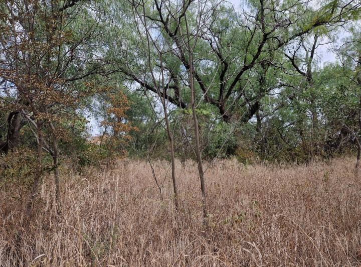 Campo en Loma Bola — Campo de 8 Hectareas en Venta en Loma Bola, Traslasierra!! — Venta, foto 4 de 8