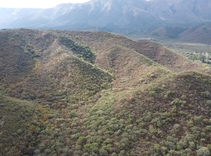 Campo en Loma Bola — Campo de 8 Hectareas en Venta en Loma Bola, Traslasierra!! — Venta, foto 7 de 8
