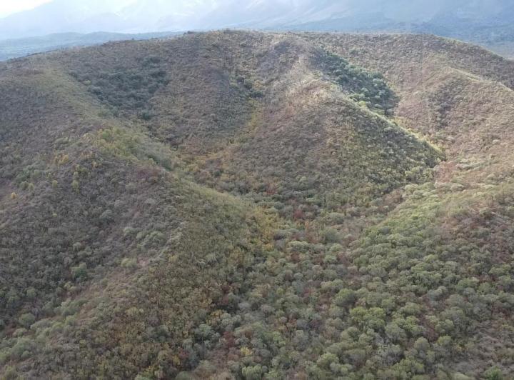 Campo en Loma Bola — Campo de 8 Hectareas en Venta en Loma Bola, Traslasierra!! — Venta, foto 8 de 8