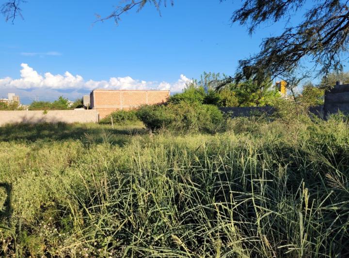Lote en San Pedro — 9 de Julio San Pedro Córdoba Traslasierra Dpto San Alberto — Venta, foto 2 de 8