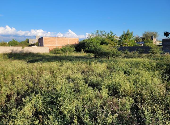 Lote en San Pedro — 9 de Julio San Pedro Córdoba Traslasierra Dpto San Alberto — Venta, foto 3 de 8