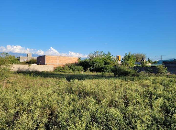 Lote en San Pedro — 9 de Julio San Pedro Córdoba Traslasierra Dpto San Alberto — Venta, foto 4 de 8