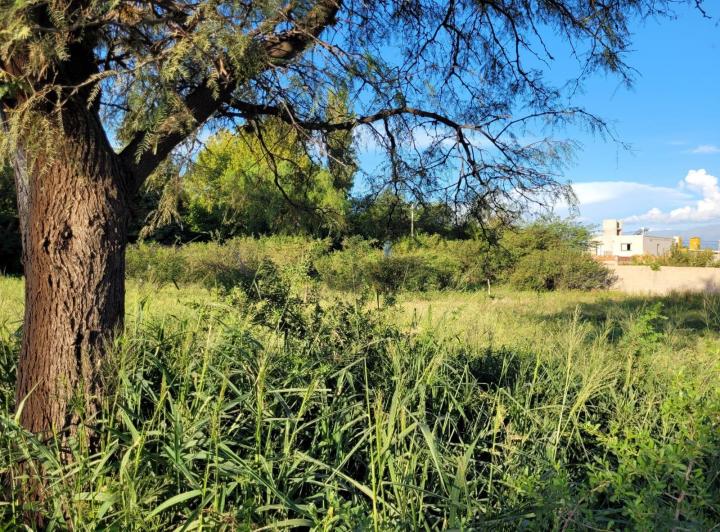 Lote en San Pedro — 9 de Julio San Pedro Córdoba Traslasierra Dpto San Alberto — Venta, foto 5 de 8