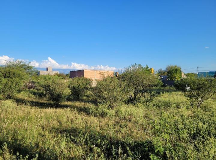 Lote en San Pedro — 9 de Julio San Pedro Córdoba Traslasierra Dpto San Alberto — Venta, foto 7 de 8