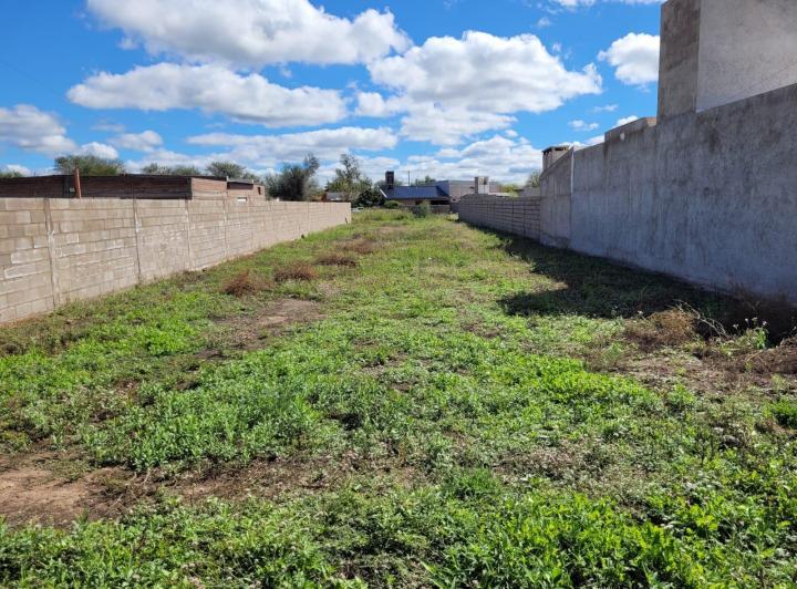 Lote en San Pedro — 9 de Julio San Pedro Córdoba Traslasierra — Venta, foto 2 de 8
