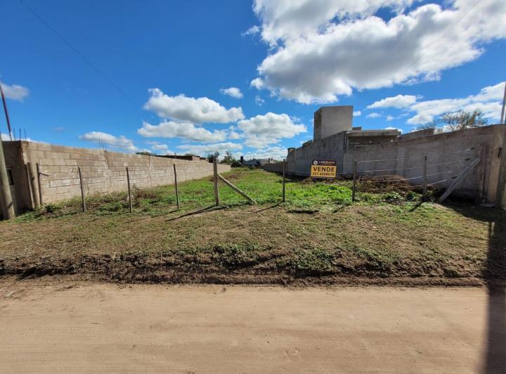 Lote en San Pedro — 9 de Julio San Pedro Córdoba Traslasierra — Venta, foto 3 de 8