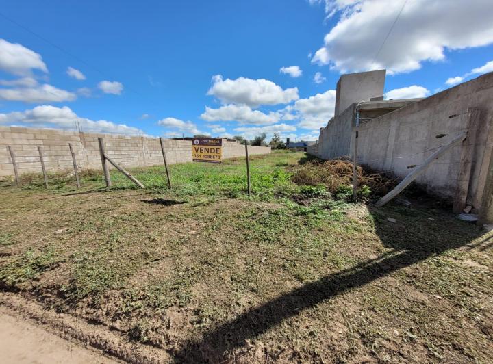 Lote en San Pedro — 9 de Julio San Pedro Córdoba Traslasierra — Venta, foto 4 de 8