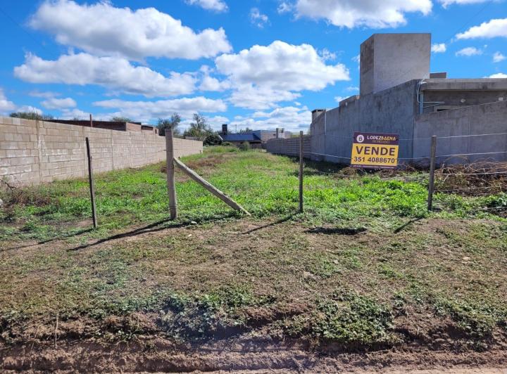 Lote en San Pedro — 9 de Julio San Pedro Córdoba Traslasierra — Venta, foto 5 de 8