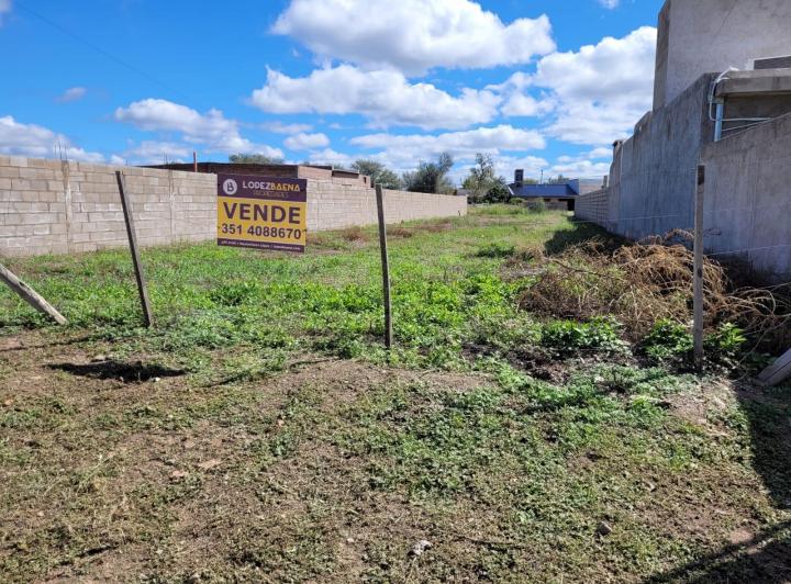 Lote en San Pedro — 9 de Julio San Pedro Córdoba Traslasierra — Venta, foto 6 de 8
