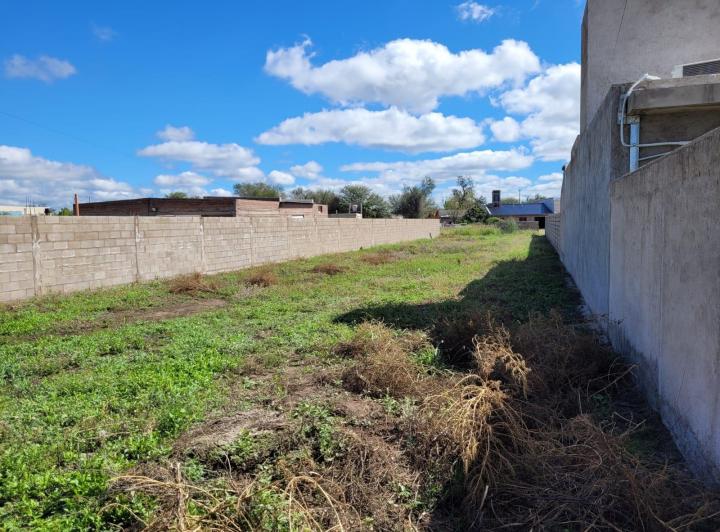 Lote en San Pedro — 9 de Julio San Pedro Córdoba Traslasierra — Venta, foto 8 de 8