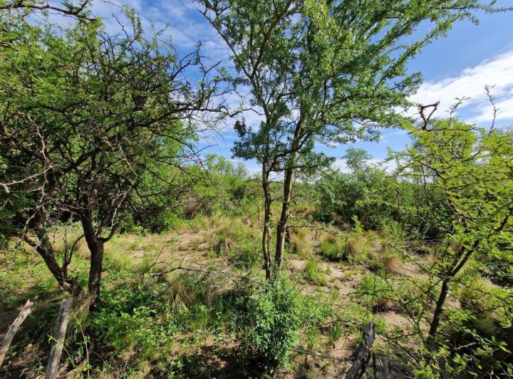 Lote en Yacanto — Terreno de mas de 1 Hectarea en Venta en Yacanto, Traslasierra!! — Venta, foto 3 de 7