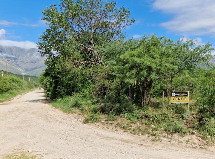 Lote en Yacanto — Terreno de mas de 1 Hectarea en Venta en Yacanto, Traslasierra!! — Venta, foto 5 de 7