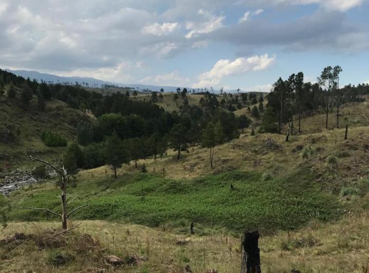 Lote en Atos Pampa — RP 109. Atos Pampa. Calamuchita — Venta, foto 5 de 8
