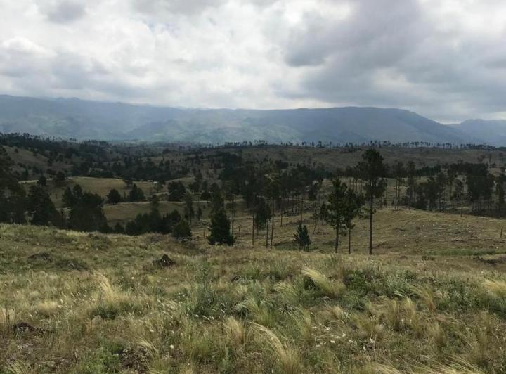 Lote en Atos Pampa — RP 109. Atos Pampa. Calamuchita — Venta, foto 6 de 8