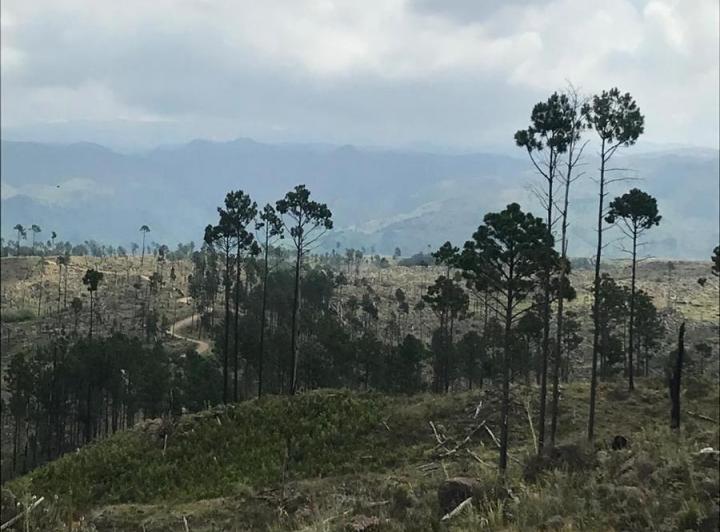 Lote en Atos Pampa — RP 109. Atos Pampa. Calamuchita — Venta, foto 7 de 8