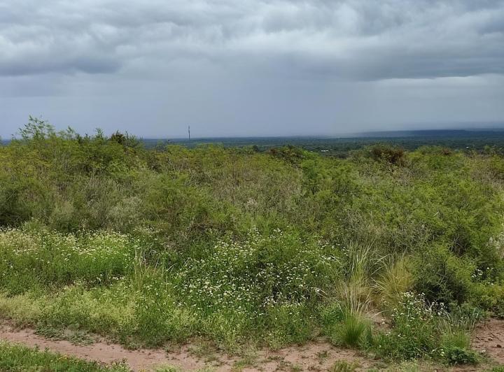 Lote en Achiras Arriba, San Javier — Venta, foto 6 de 8