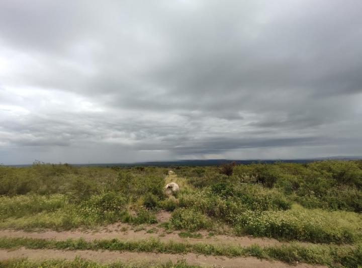 Lote en Achiras Arriba, San Javier — Venta, foto 7 de 8