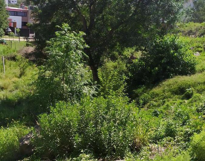 Terreno en San Nicolás — Venta, foto 4 de 8