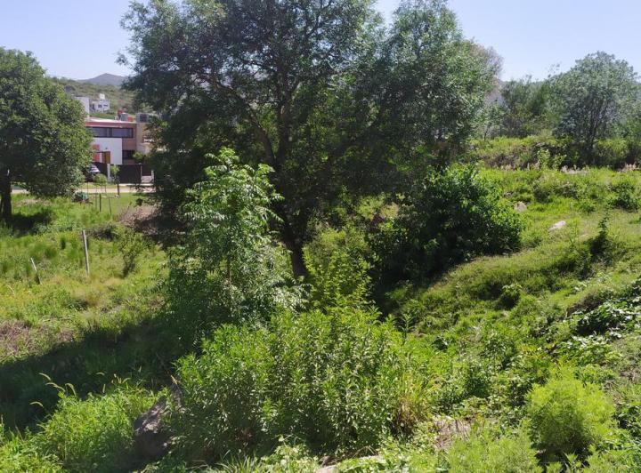 Terreno en San Nicolás — Venta, foto 5 de 8