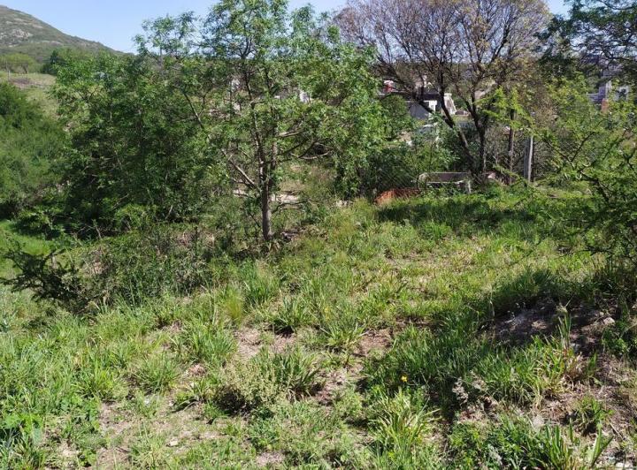 Terreno en San Nicolás — Venta, foto 7 de 8