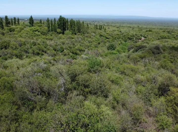 Lote en Achiras Arriba, Traslasierra — Terreno en Venta de 11 mil m2 en Achiras Arriba Traslasierra!! — Venta, foto 1 de 8