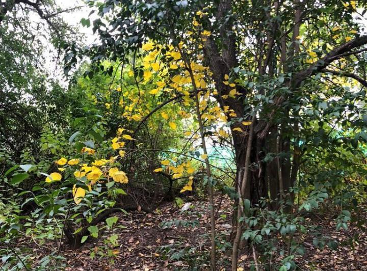 Lote en La Aguadita — Pasaje Privado s/n La Aguadita — Venta, foto 5 de 8
