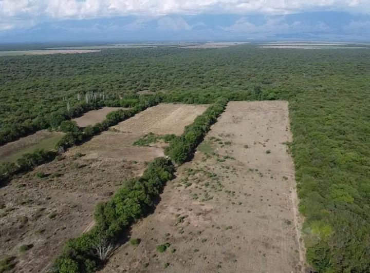 Lote en Conlara — Campo de 13 Hectareas en Venta en Conlara,,traslasierra!! — Venta, foto 1 de 8
