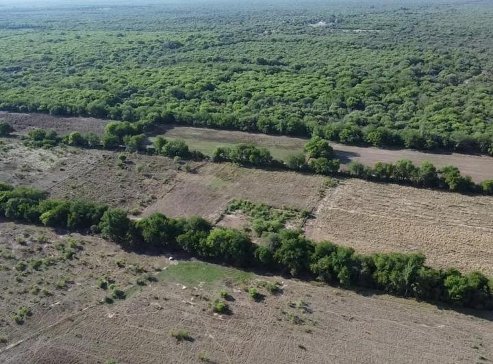 Lote en Conlara — Campo de 13 Hectareas en Venta en Conlara,,traslasierra!! — Venta, foto 3 de 8