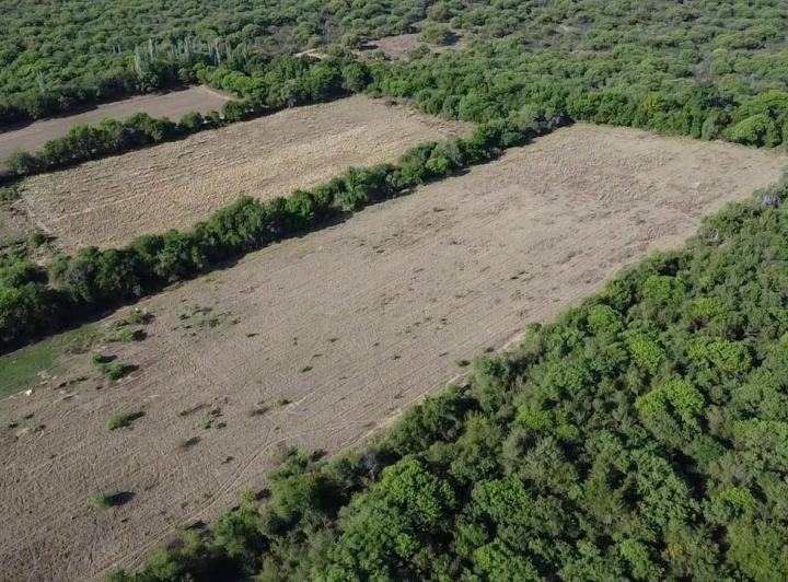 Lote en Conlara — Campo de 13 Hectareas en Venta en Conlara,,traslasierra!! — Venta, foto 5 de 8