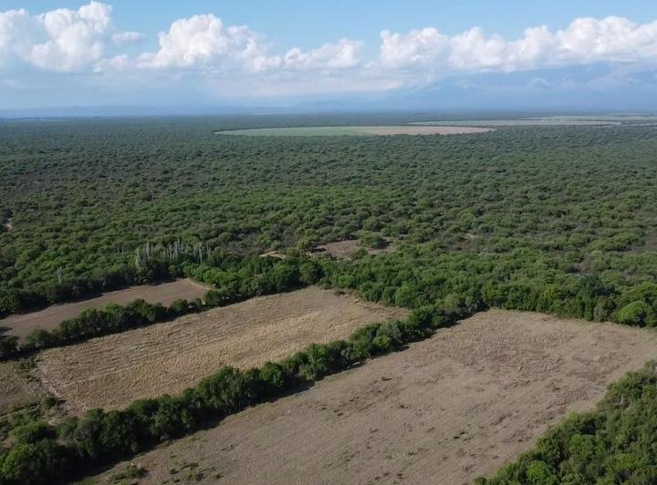 Lote en Conlara — Campo de 13 Hectareas en Venta en Conlara,,traslasierra!! — Venta, foto 6 de 8