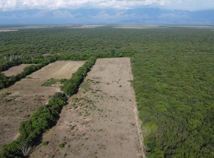 Lote en Conlara — Campo de 13 Hectareas en Venta en Conlara,,traslasierra!! — Venta, foto 7 de 8