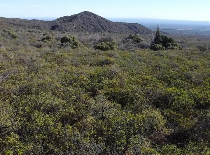 Casa 2 ambientes en La Travesia, Traslasierra — En Venta Casa de Adobe en las Sierras con Terreno de 2,3 Hectáreas en La Travesia, Traslasierra!! — Venta, foto 8 de 8